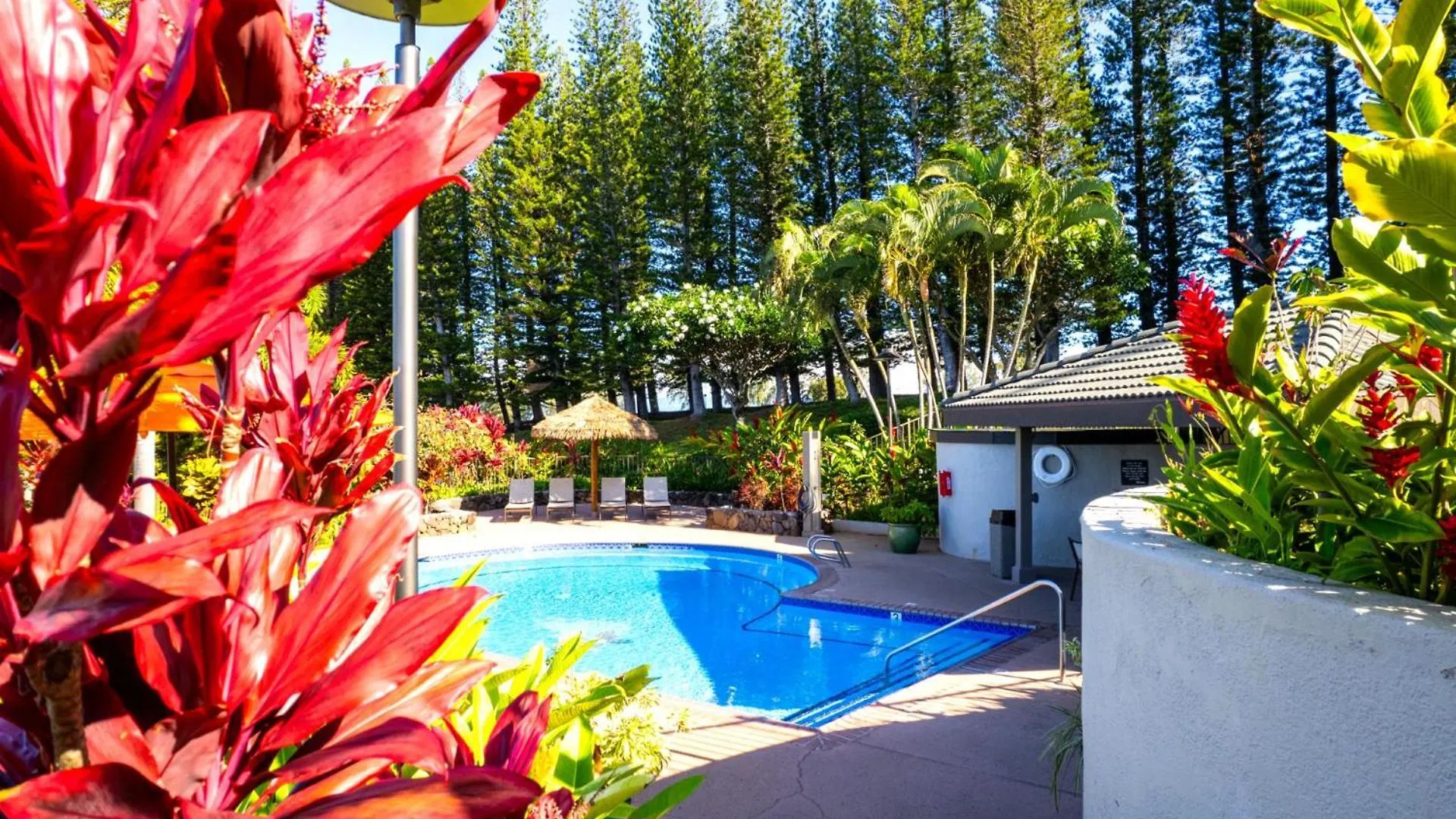 Apartamento Kbm Resorts Free Car Kapalua Golf Villa Kgv-24P7 Ocean Golf Views